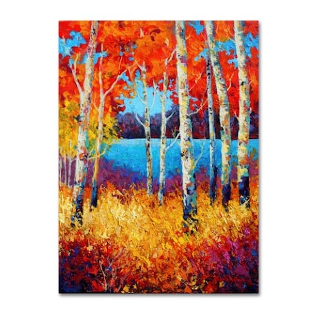 Marion Rose 'Summers End II' Canvas Art,24x32